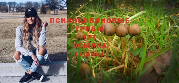 соль ск Липки